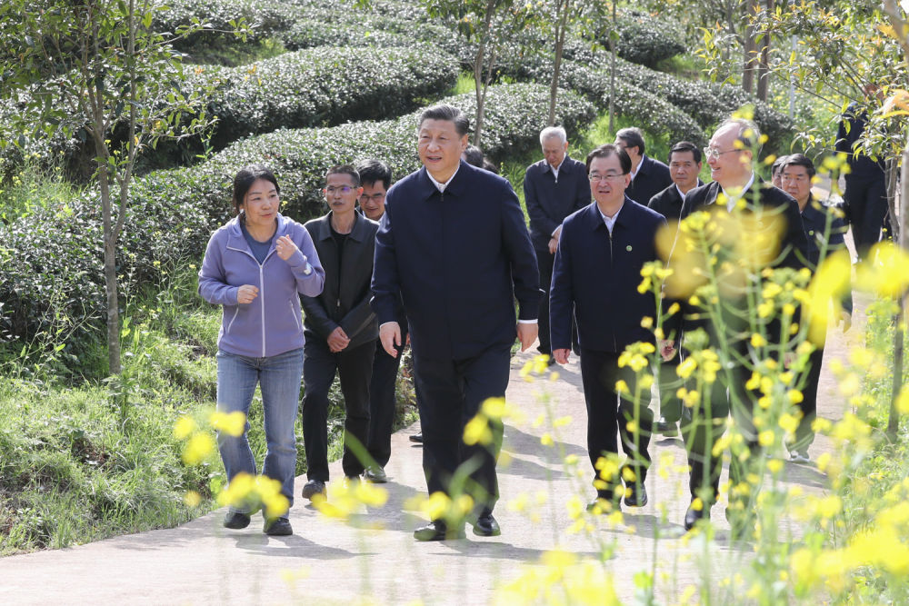ob体育镜观·领航｜听习“以茶论道”(图1)