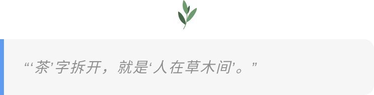 ob体育镜观·领航｜听习“以茶论道”(图10)