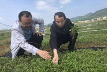 再识万里茶道（看·寰宇遗ob体育产）(图2)