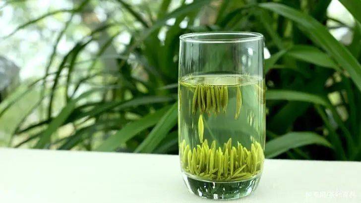 ob体育谷医堂谷方益元：茶道茶礼茶艺等观念之茶文明特有本事(图3)