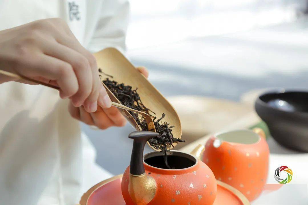 ob体育品茗十三式这才是真正的中邦茶道全流程！(图6)