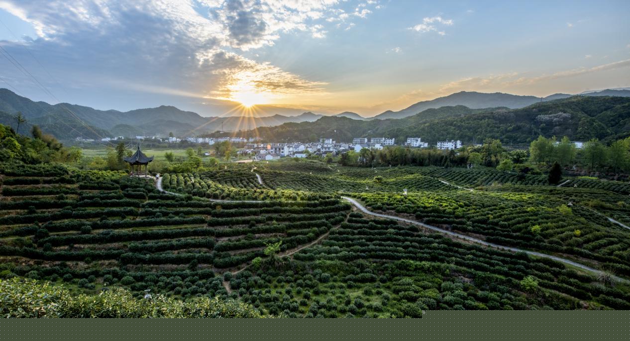 ob体育祁门县：“万里茶道”史乘风貌爱惜与擢升工程项目专项债申呈报成(图1)