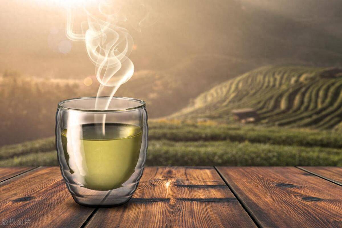 ob体育茶叶的品种和各自的特性你晓得吗(图1)
