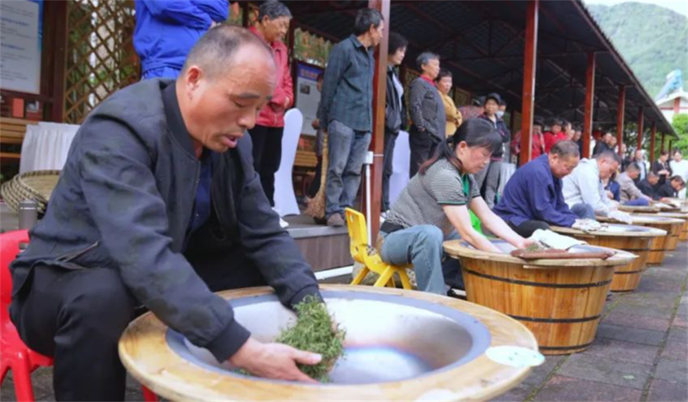 ob体育久等了崇州枇杷茶飘香上新(图5)