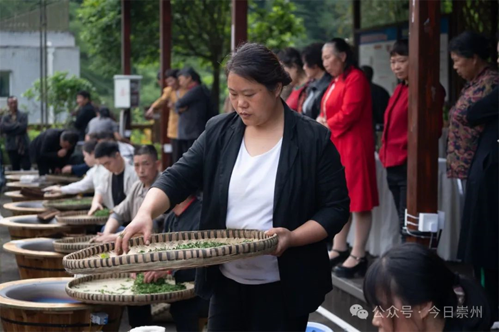 ob体育久等了崇州枇杷茶飘香上新(图6)