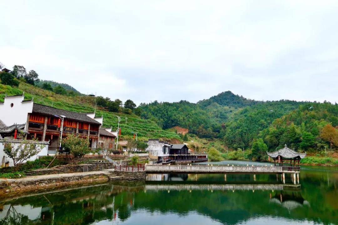 ob体育数字科技 茶界黑马横空出生——婺源“黎乾升”老茶号确当代发达(图2)