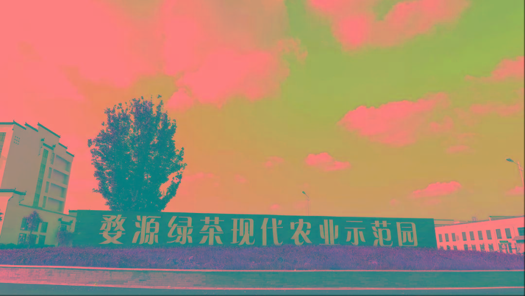 ob体育数字科技 茶界黑马横空出生——婺源“黎乾升”老茶号确当代发达(图7)